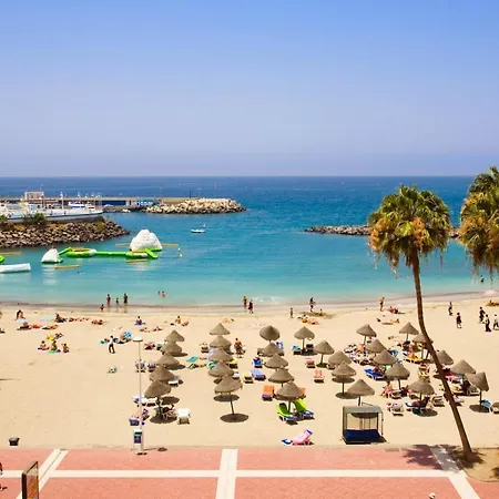 Royal Ocean View - Localization Apartamento